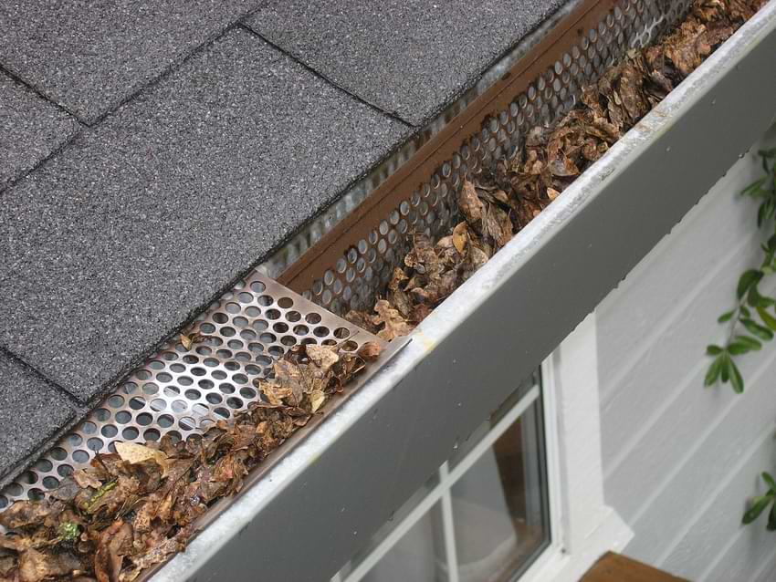 Leaves In the Gutter